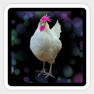 Punky chick Sticker